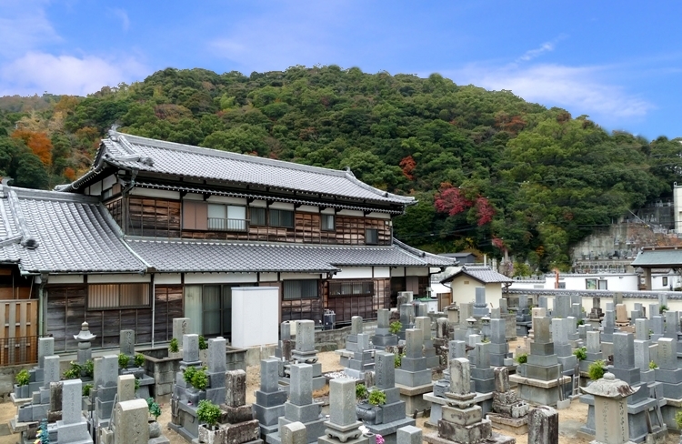 徳島市の墓地　境内墓地